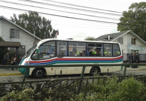 Valdivian Buses